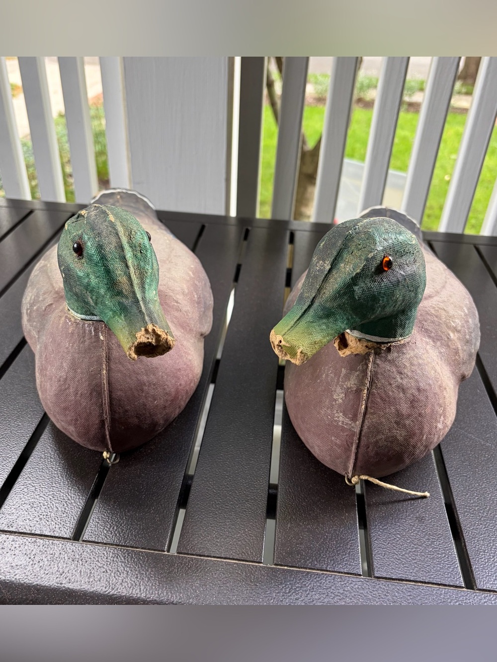 Vtg Victor Veri-Lite Mallard Drake Duck Decoy Pair Glass Eyes Animal Trap Co PA
